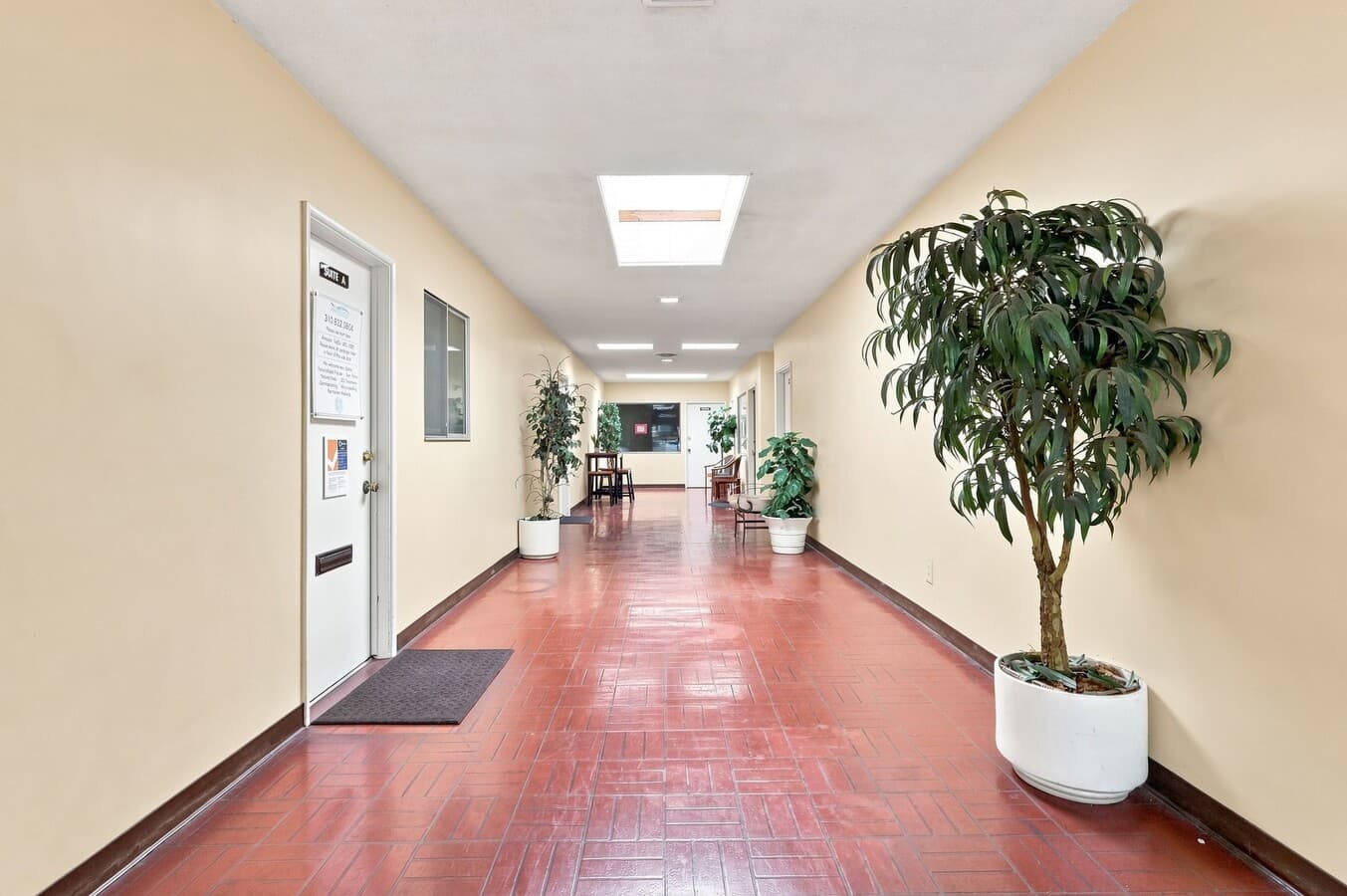 Medical & Professional Office Investment in Upper San Pedro — gallery photo 5